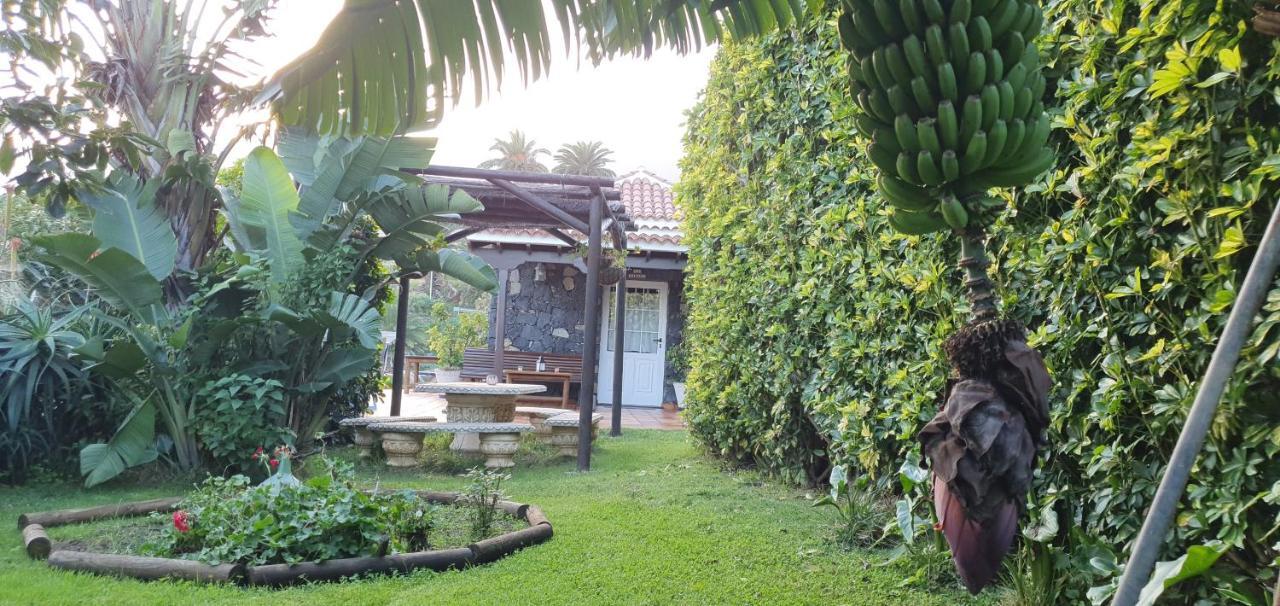 La Sabana Buenavista de Abajo Exterior foto