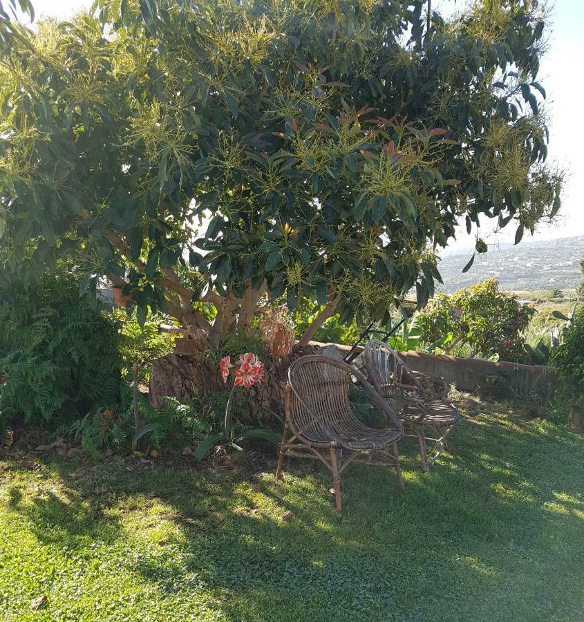 La Sabana Buenavista de Abajo Exterior foto