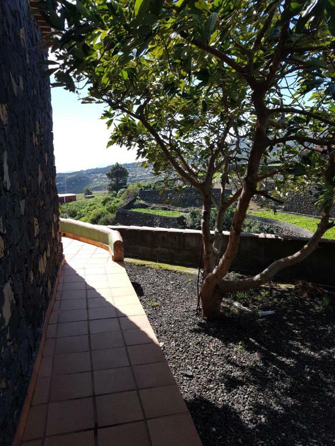 La Sabana Buenavista de Abajo Exterior foto